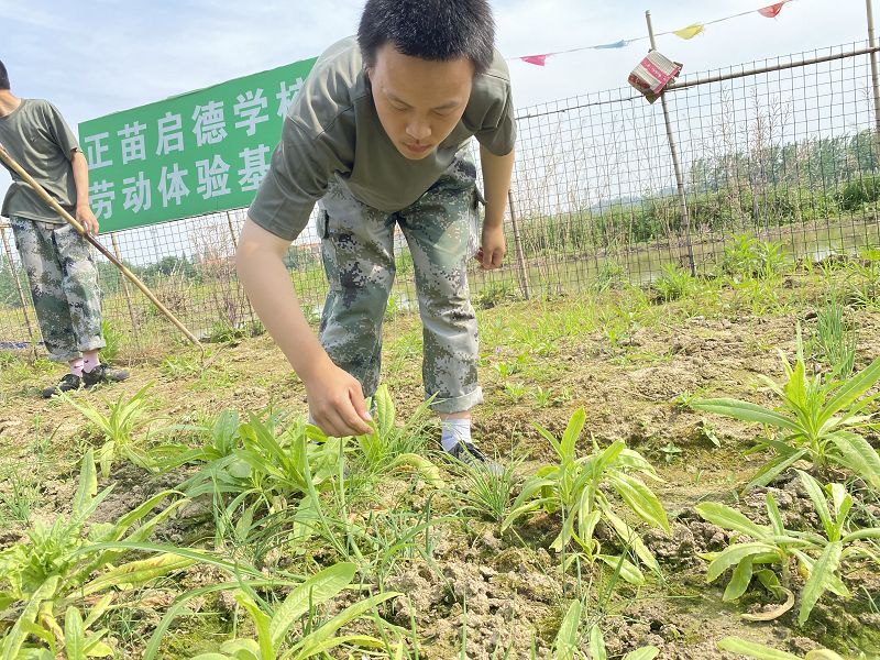 不當(dāng)?shù)募彝ソ逃龝?huì)導(dǎo)致青少年心理脆弱嗎？