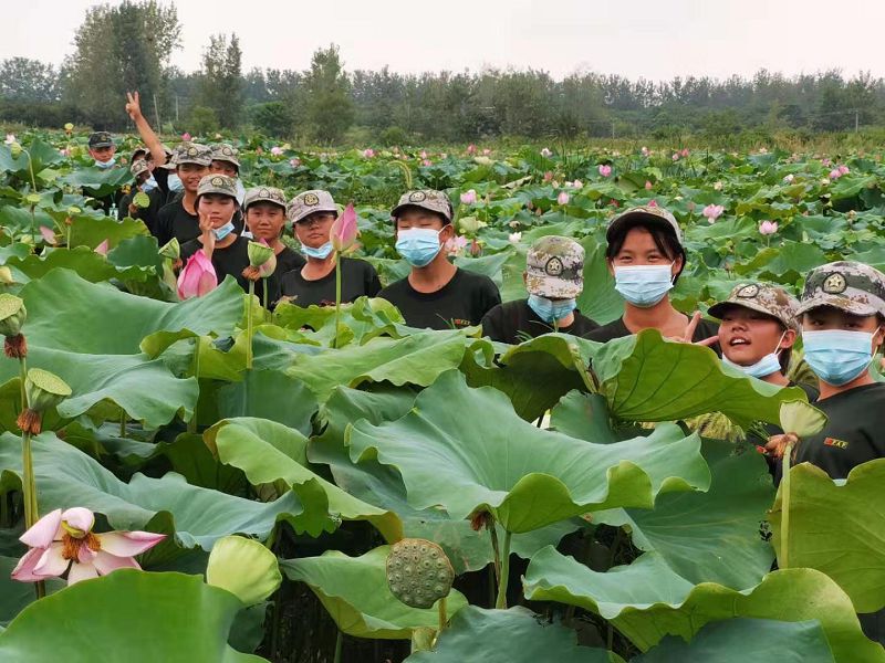 如何戒掉手機(jī)癮？防沉迷模式有用嗎？